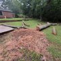 Willow Fast Tree Service