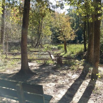 Calvert Cliffs State Park - Parks Near Me