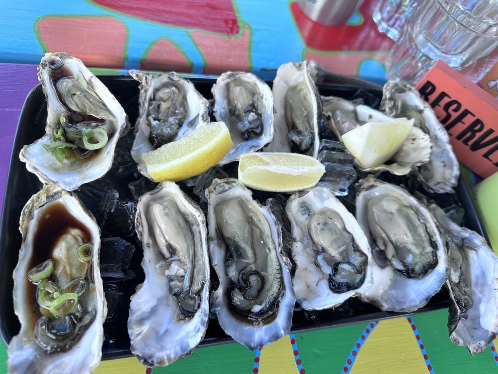 TIPSY OYSTER TAPAS AND BAR Updated September 2024 24 Kings Rd