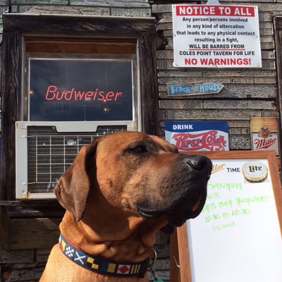 Coles Point Tavern by null