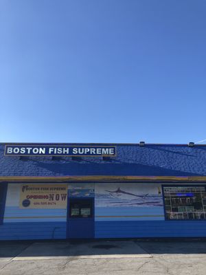 Boston Fish Supreme by null