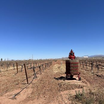 PistachioLand - Attraction Farms Near Me - Alamogordo, New Mexico