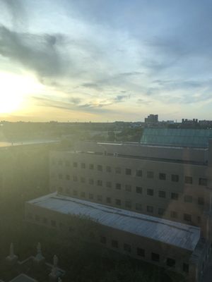 Wayne State University by null