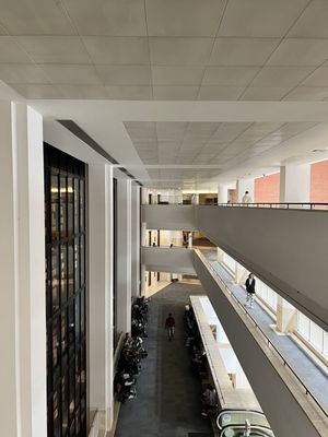 The British Library by null