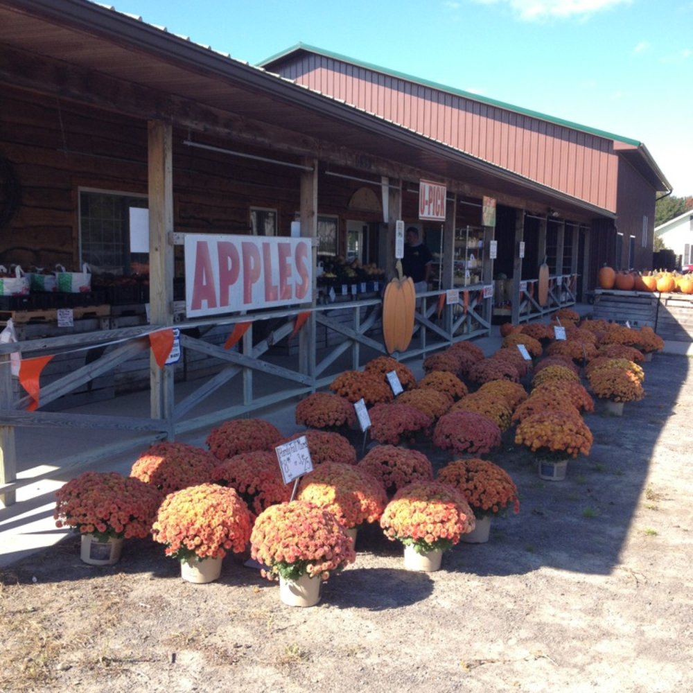 Lagoner Farms - The shop - Fruits & Veggies Near Me - Williamson, New York Lagoner Farms - The shop - Fruits & Veggies Near Me - Williamson, New York