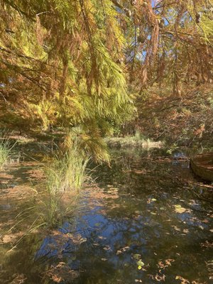 Clark Gardens by null