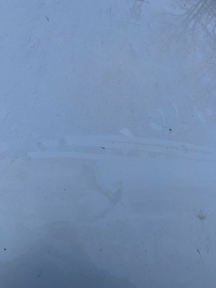 CHAMPION CAR WASH Updated September 2024 27 Reviews 4350 E