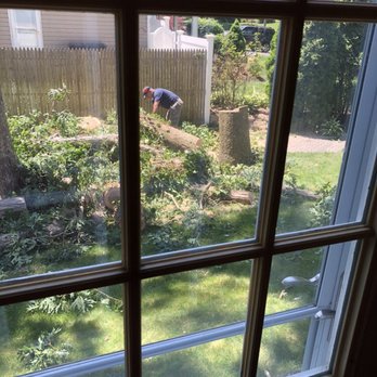 Tim Baxley Tree - Tree Services Near Me - Northport, New York Tim Baxley Tree - Tree Services Near Me - Northport, New York
