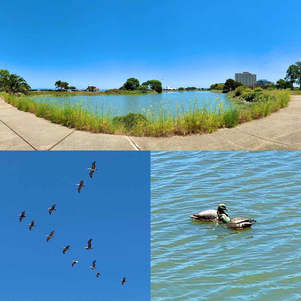 Robert E Wooley Peninsula Park Logo