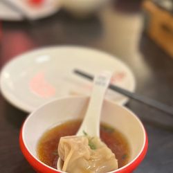 Dong Ting Spring - Won Wonton Soup
