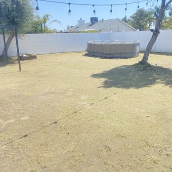 Donaldo Mejia - Backyard after - Landscaping Near Me Donaldo Mejia - Backyard after - Landscaping Near Me