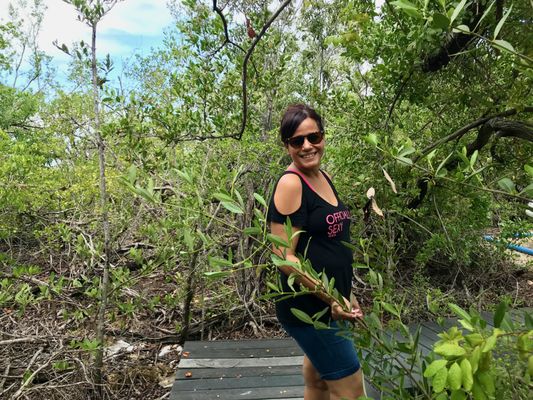 Wild Bird Sanctuary - Florida Keys Wild Bird Center by null