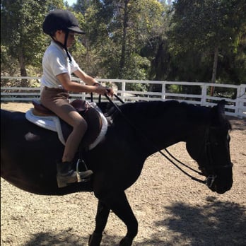 Enriched Equestrian - Lessons! - Horseback Riding Near Me