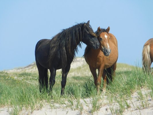 Kattuk Expeditions by null