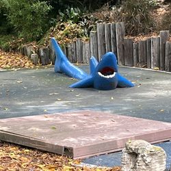 Atlantis Play Center - Watch out for the sharks!!