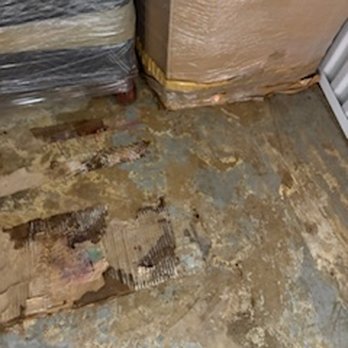 Public Storage - Floor of unit where boxes were sticking to them because of water leak. - Self Storage Near Me - Hilton Head Island, South Carolina Public Storage - Floor of unit where boxes were sticking to them because of water leak. - Self Storage Near Me - Hilton Head Island, South Carolina
