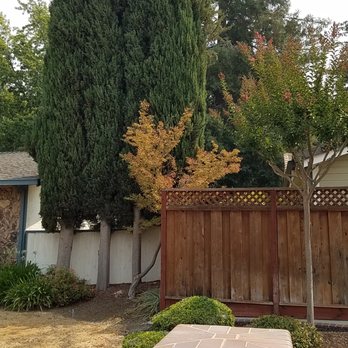 Juan's Landscaping & Tree Service - before - Landscaping Near Me - Pittsburg, California Juan's Landscaping & Tree Service - before - Landscaping Near Me - Pittsburg, California