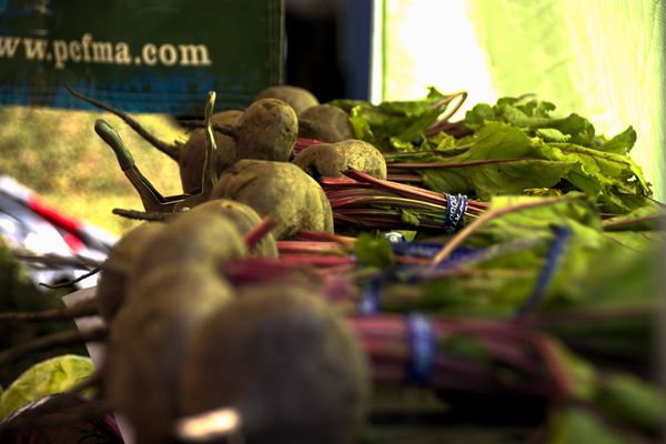 Berryessa Farmers' Market by null