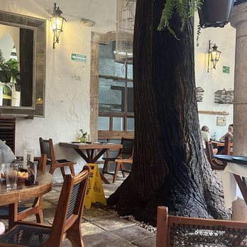 El Meson del Marques - huge trees - Mexican Near Me - Valladolid, YUC El Meson del Marques - huge trees - Mexican Near Me - Valladolid, YUC