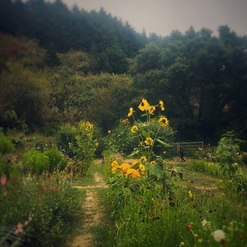Anne Gregory Yoga - Green Gulch Farm Day Retreat. Along a chill hike to the beach after a lovely morning practice and lunch. ❤️ - Yoga Near Me Anne Gregory Yoga - Green Gulch Farm Day Retreat. Along a chill hike to the beach after a lovely morning practice and lunch. ❤️ - Yoga Near Me