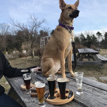 Backroom Brewery - Breweries Near Me - Middletown, Virginia