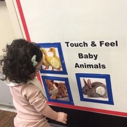 Knowledge Beginnings Princeton - Touch & Feel