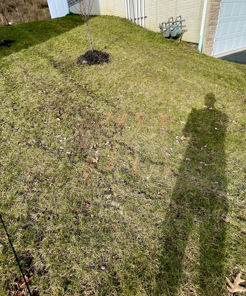 WEST PENN UTILITIES 2085 Forest Grove Rd, Coraopolis, Pennsylvania