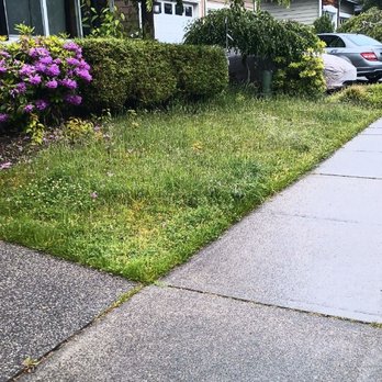 Nature Landscaping Maintenance - Landscaping Near Me Nature Landscaping Maintenance - Landscaping Near Me