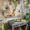 Hyams Garden & Accent Store gift card