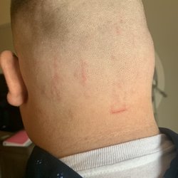 Great Clips - Really sad about this appointment. We had a big event right after this haircut and was extremely disappointed.
