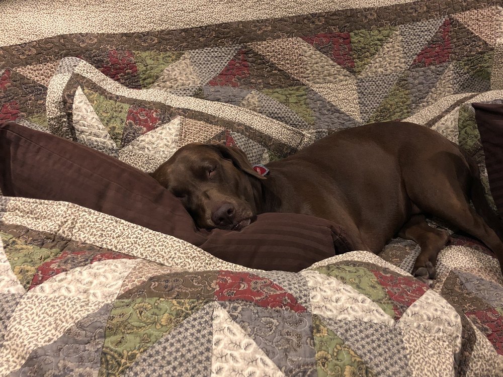 MAPLES THE TREE 10 Photos 639 Pkwy, Gatlinburg, TN Yelp