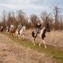 Photo of The Livingston Ranch