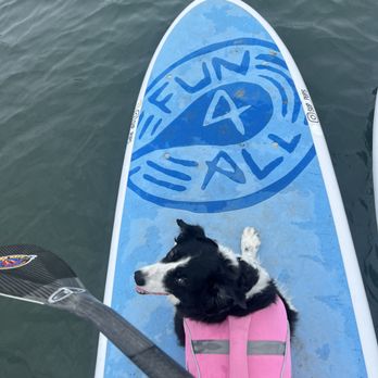 SUP Pups - Paddleboarding Near Me - San Diego, California SUP Pups - Paddleboarding Near Me - San Diego, California