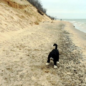 Kirk Park - Beaches Near Me - West Olive, Michigan