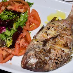 Taberna der Guerrita
