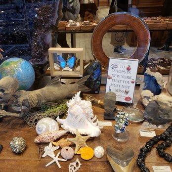 The Evolution Store - Home Decor Near Me - New York, New York