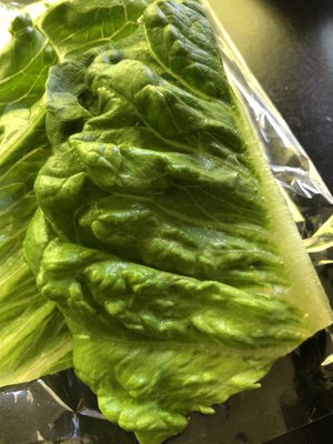 K-Star Doshirak by null