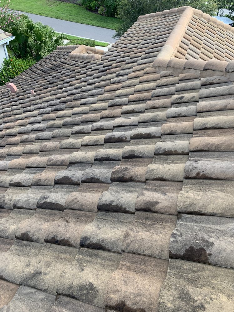 Slide of Beyond Pressure Washing & Roof Cleaning