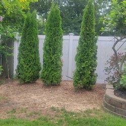 Freeport Tree Services