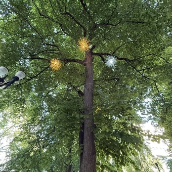 Lownsdale Square - Parks Near Me - Portland, Oregon Lownsdale Square - Parks Near Me - Portland, Oregon