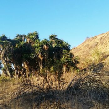 Fairview Park - Parks Near Me - Costa Mesa, California