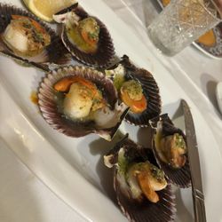 Oporto - Grilled baby scallops