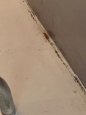 Las Tortas Perronas by null