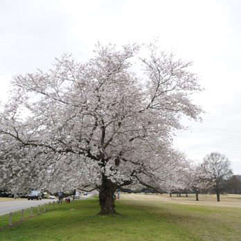 Audubon Park - Parks Near Me - Memphis, Tennessee Audubon Park - Parks Near Me - Memphis, Tennessee