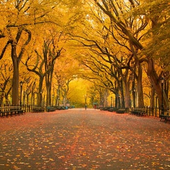 TCS Management - Real Estate Services Near Me - Philadelphia, Pennsylvania TCS Management - Real Estate Services Near Me - Philadelphia, Pennsylvania