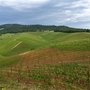 Prime Alture Società Agricola