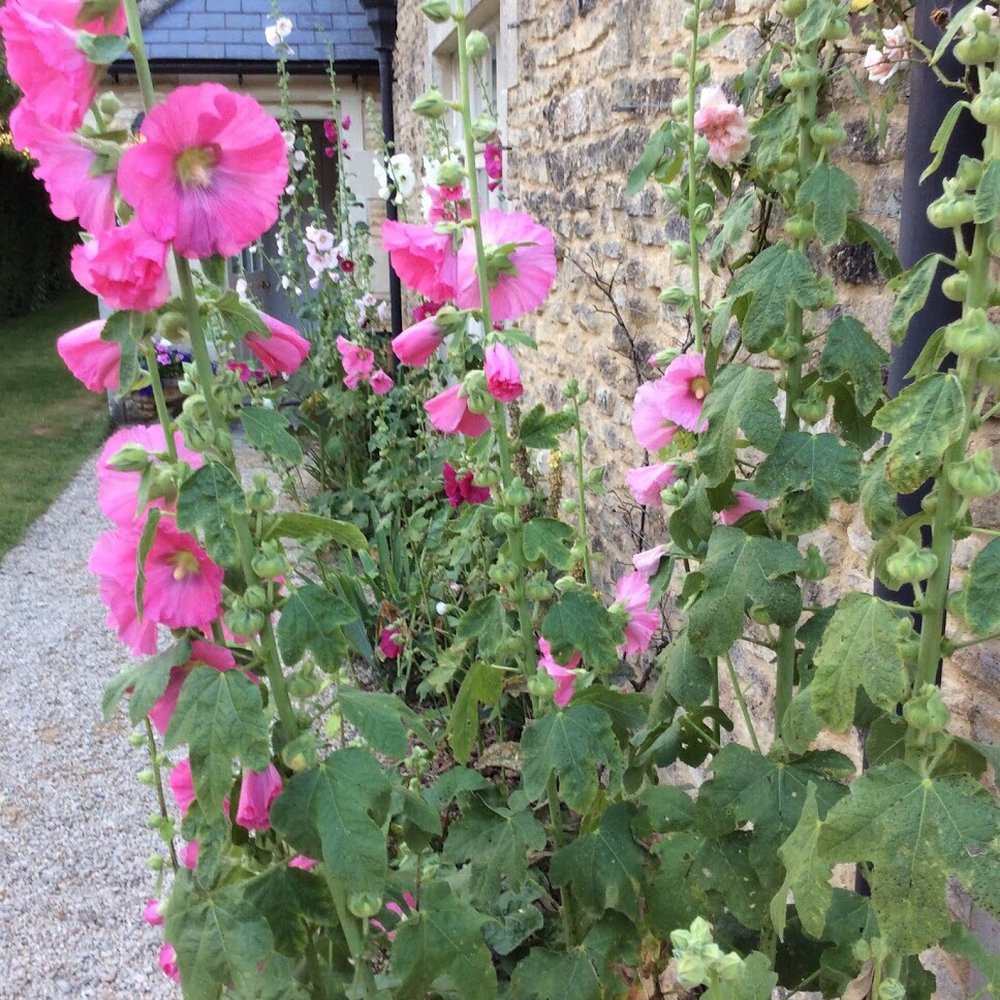 Guyers House Hotel - Hotels Near Me - Corsham, WIL