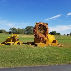 Molnar Farms - They have different hay art each year. This year was The Lion King.