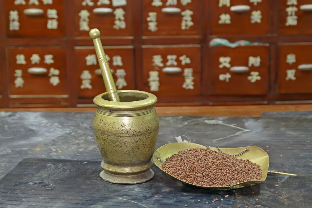 AG ACUPUNCTURE Updated August 2024 1 Riverdale Ave, Bronx, New York