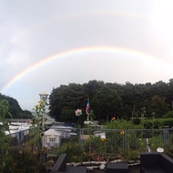 Campingplatz Falckenstein - Von dem Restaurant aufs Wasser aus gesehen